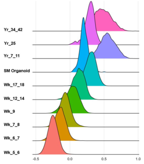 developmental score